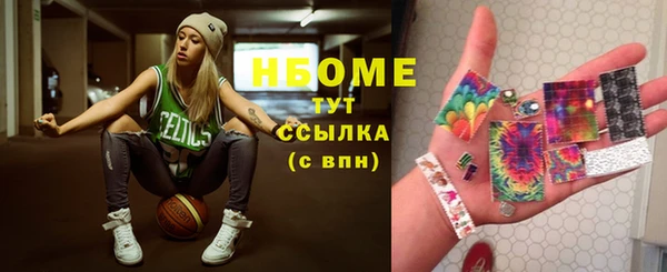 гидра Ахтубинск
