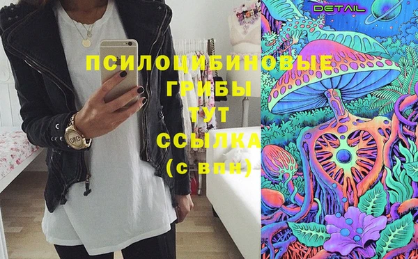 прущие грибы Михайлов