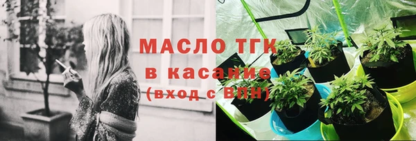прущие грибы Михайлов