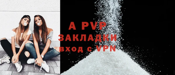 прущие грибы Михайлов