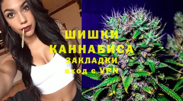 прущие грибы Михайлов