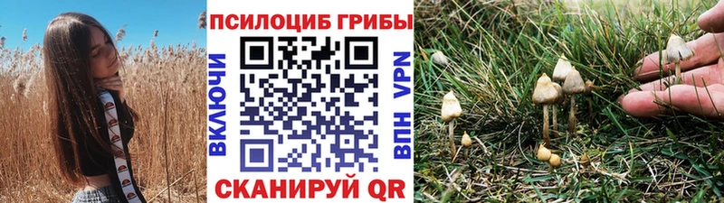 Псилоцибиновые грибы MAGIC MUSHROOMS  ОМГ ОМГ рабочий сайт  Королёв 